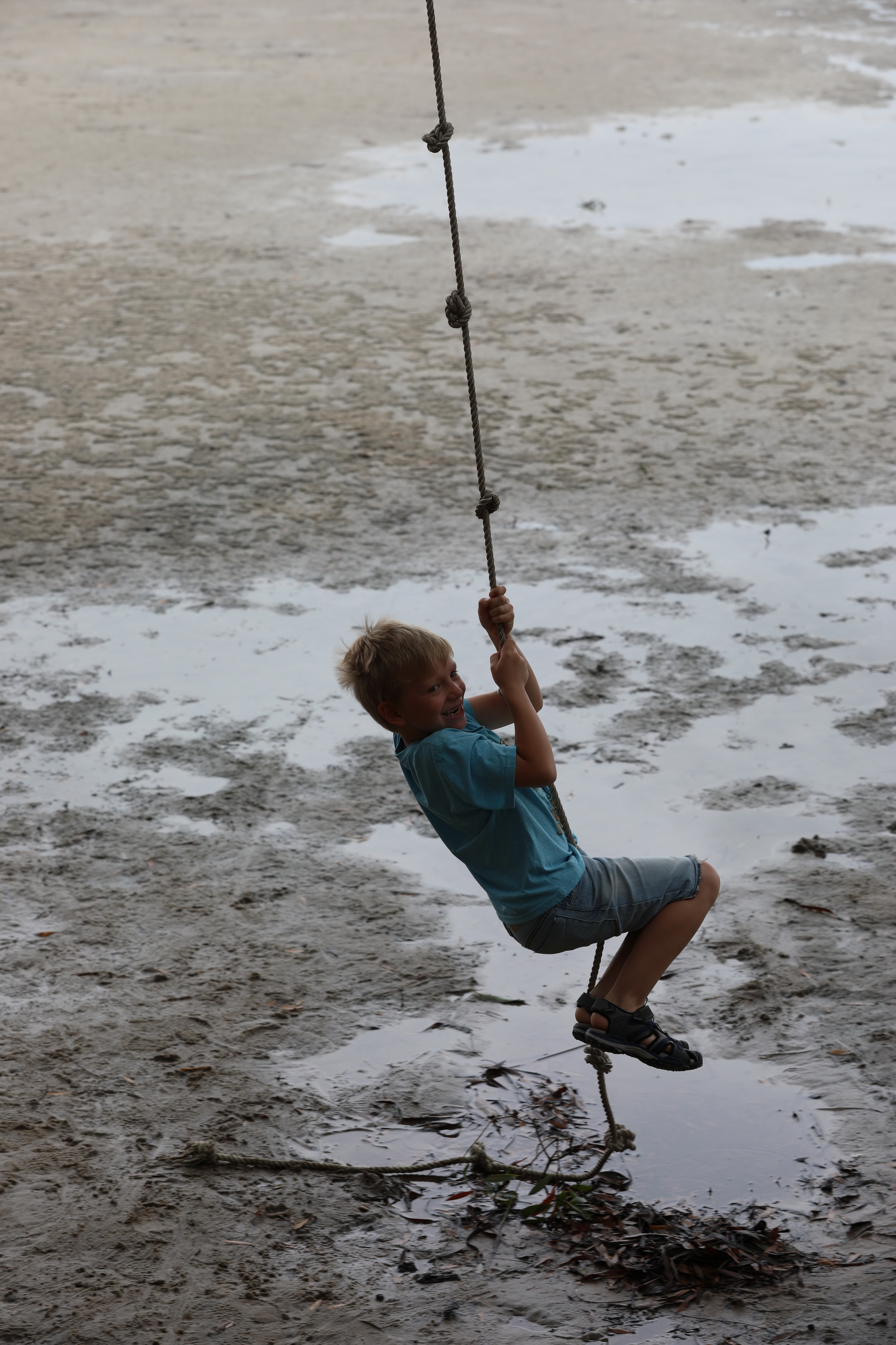 2020 01 06 13 45 46 Canon EOS 5D Mark IV 0006